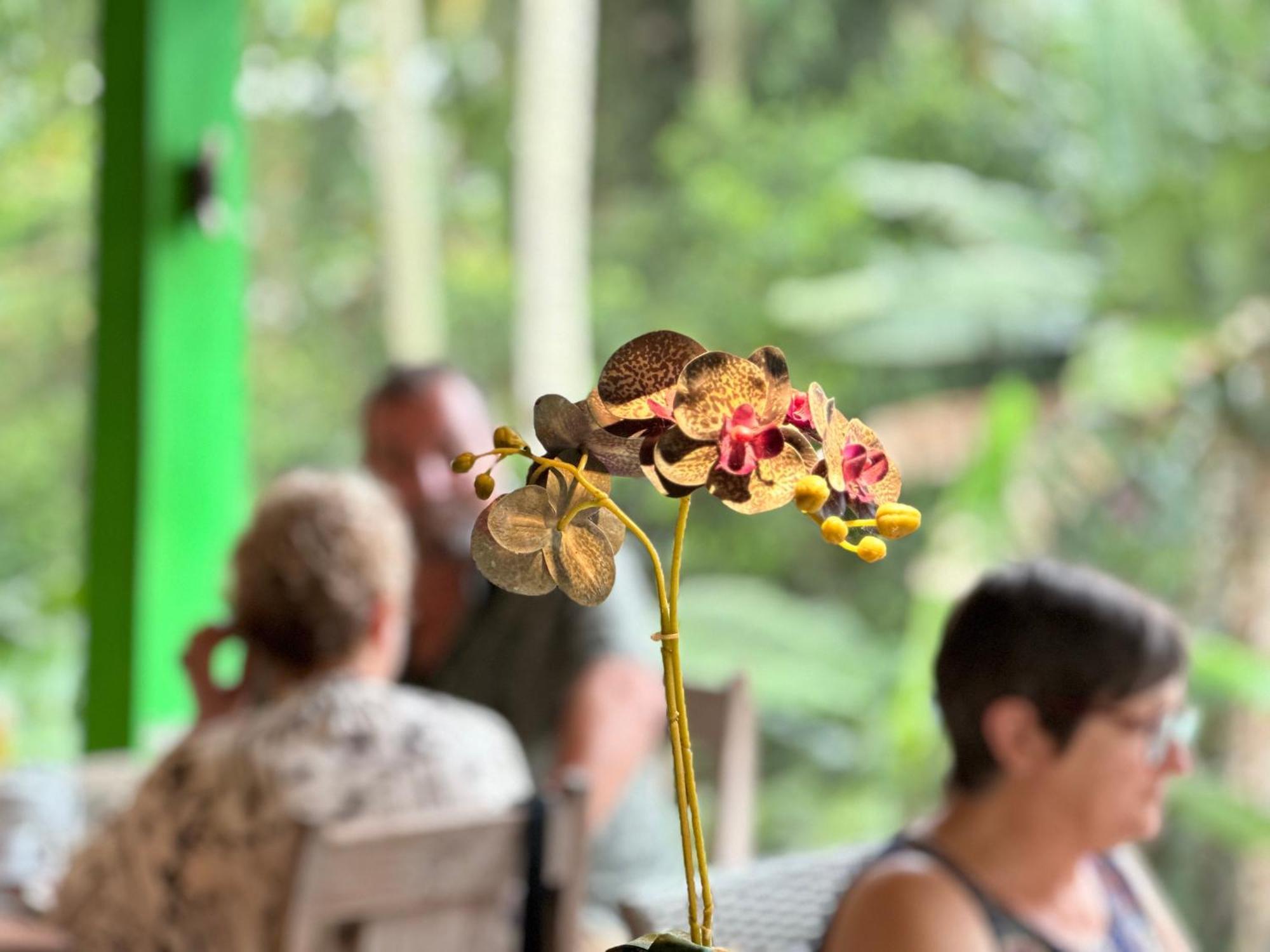 Dupa Ubud Eksteriør bilde