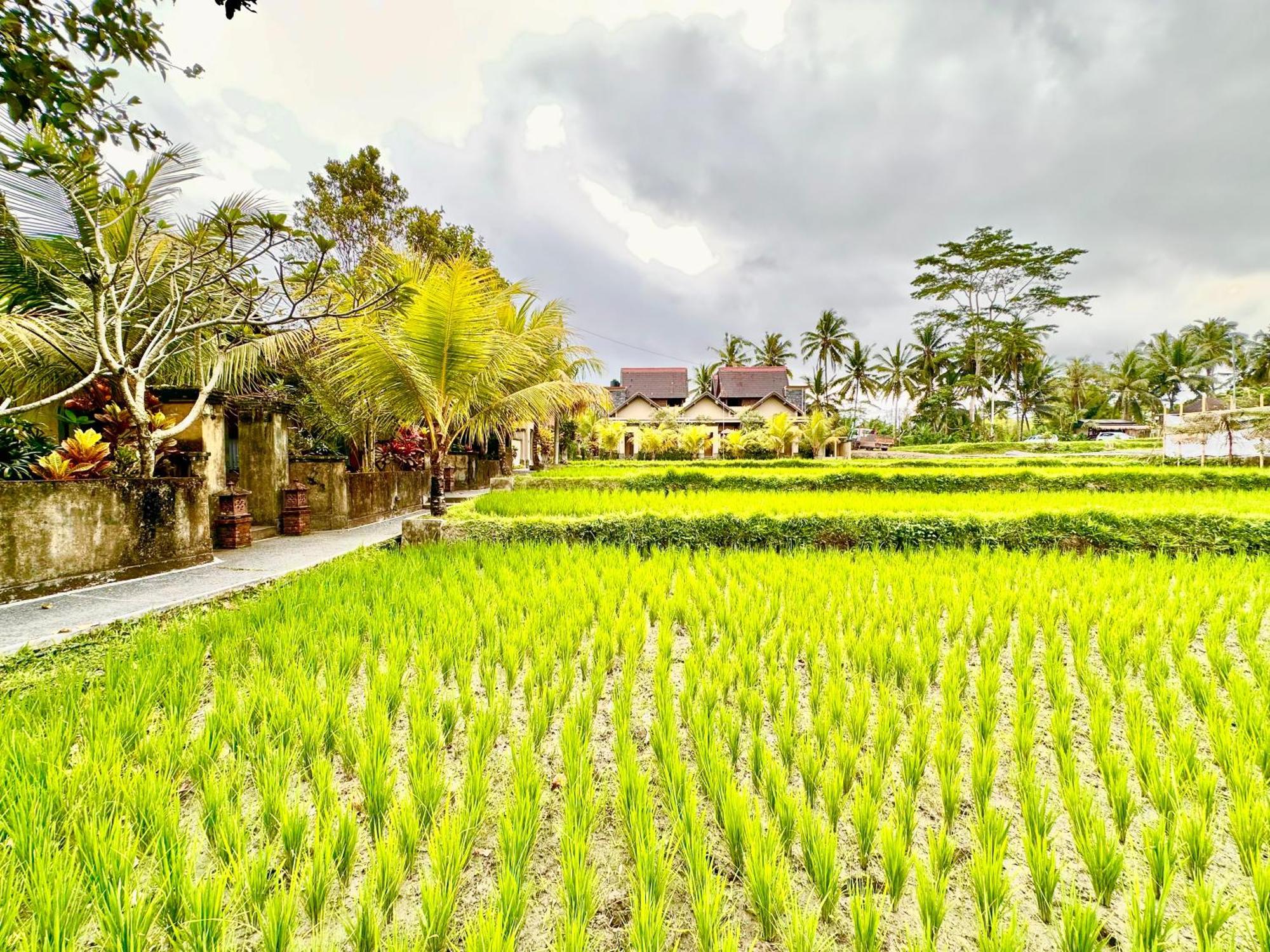 Dupa Ubud Eksteriør bilde