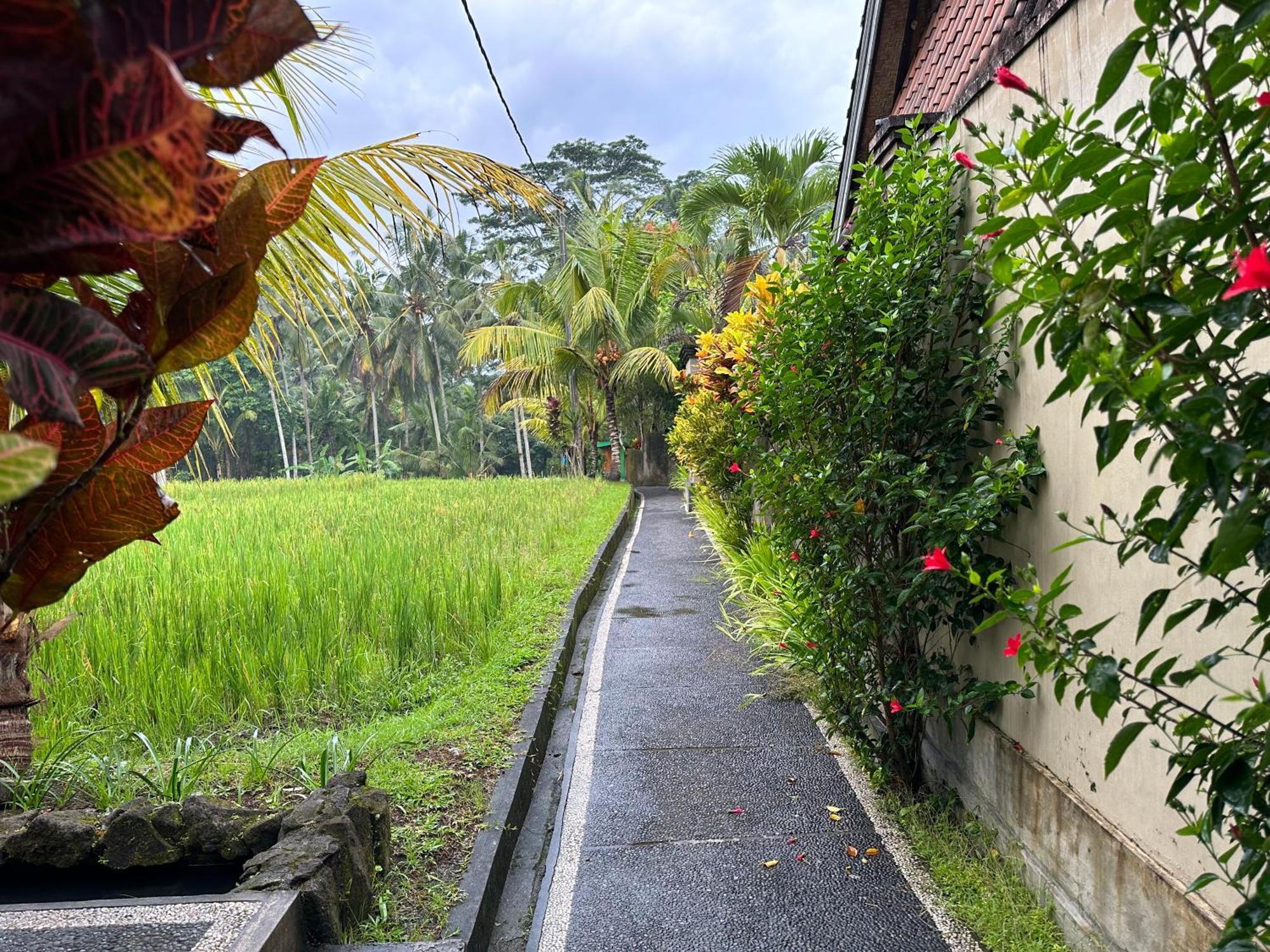 Dupa Ubud Eksteriør bilde