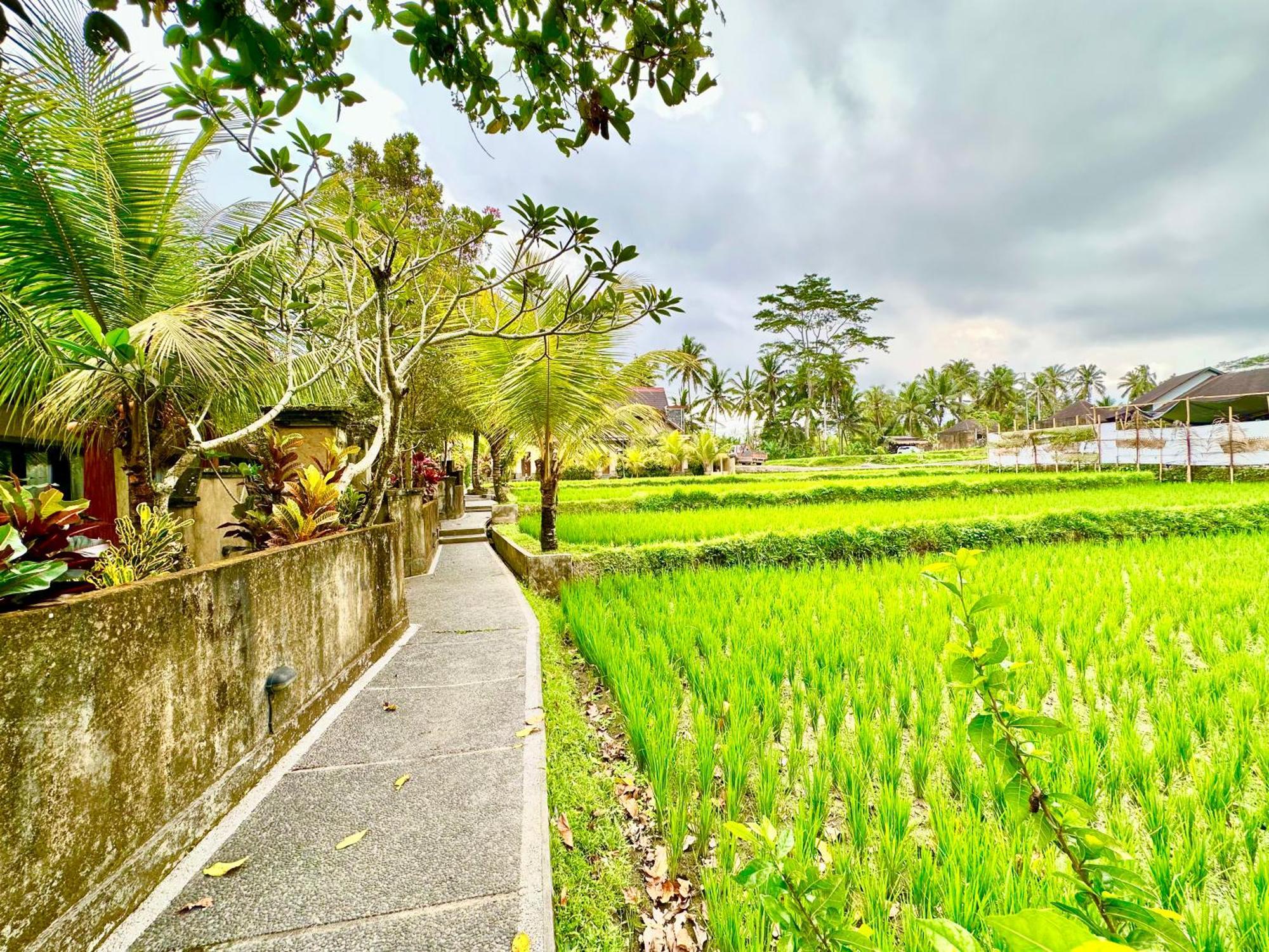 Dupa Ubud Eksteriør bilde