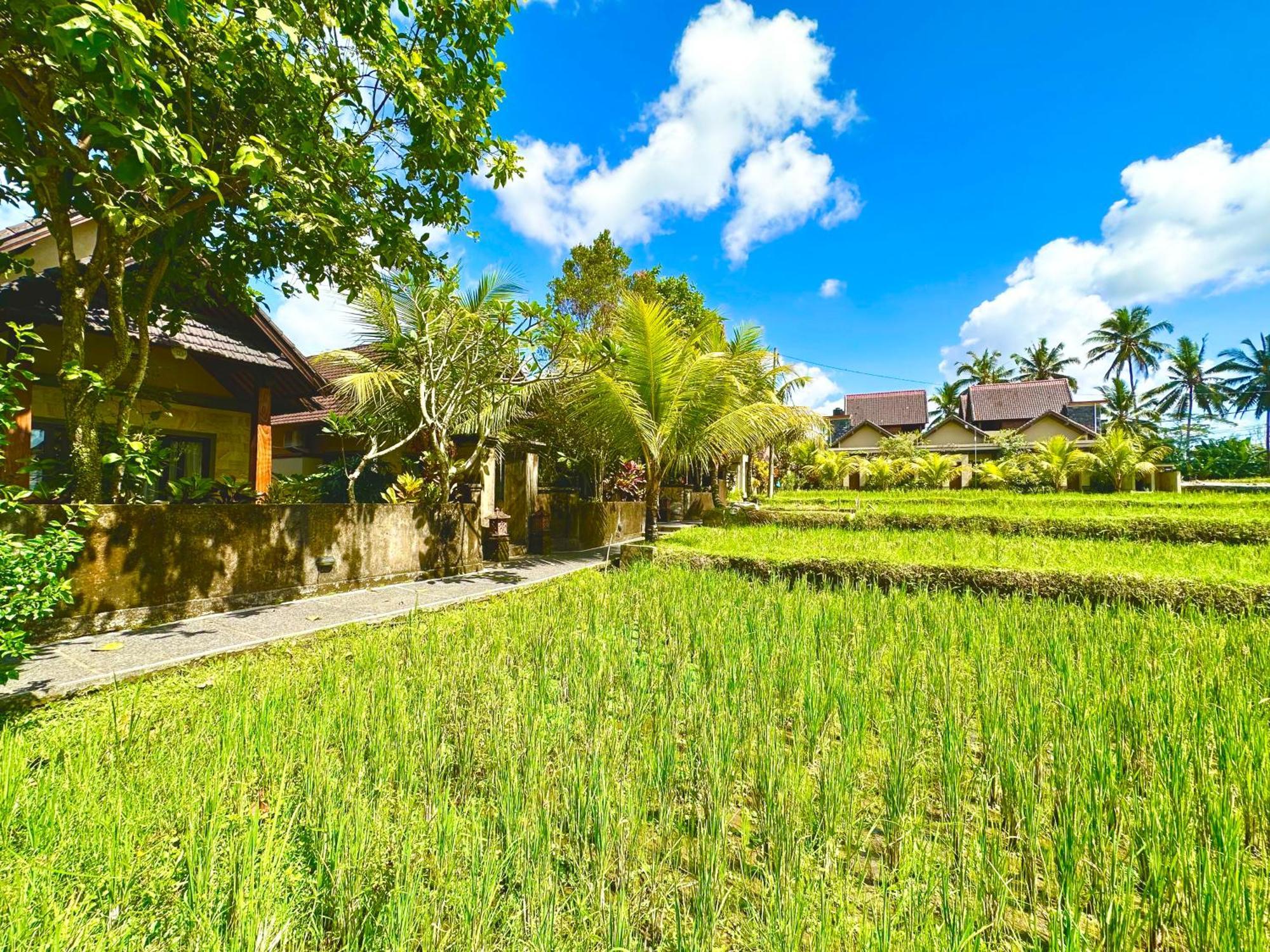 Dupa Ubud Eksteriør bilde